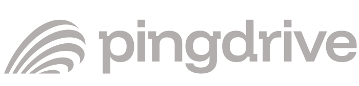 Pingdrive logo