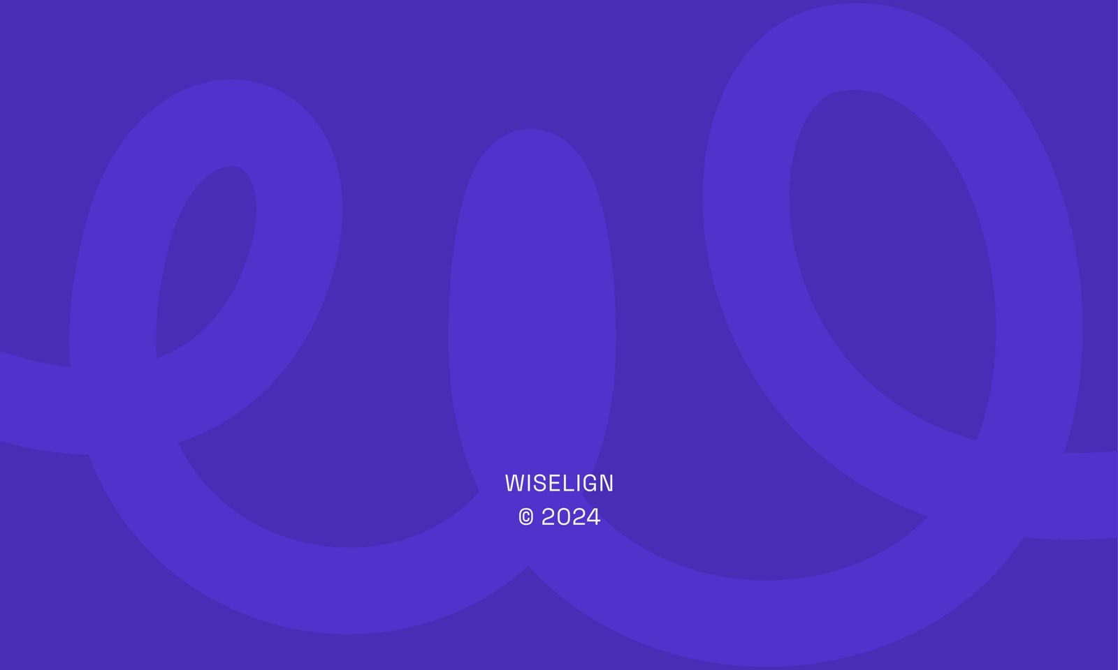WISELIGN BRAND MANUAL.cdr